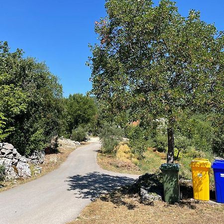 Holiday House Dunamis Krivodol Εξωτερικό φωτογραφία