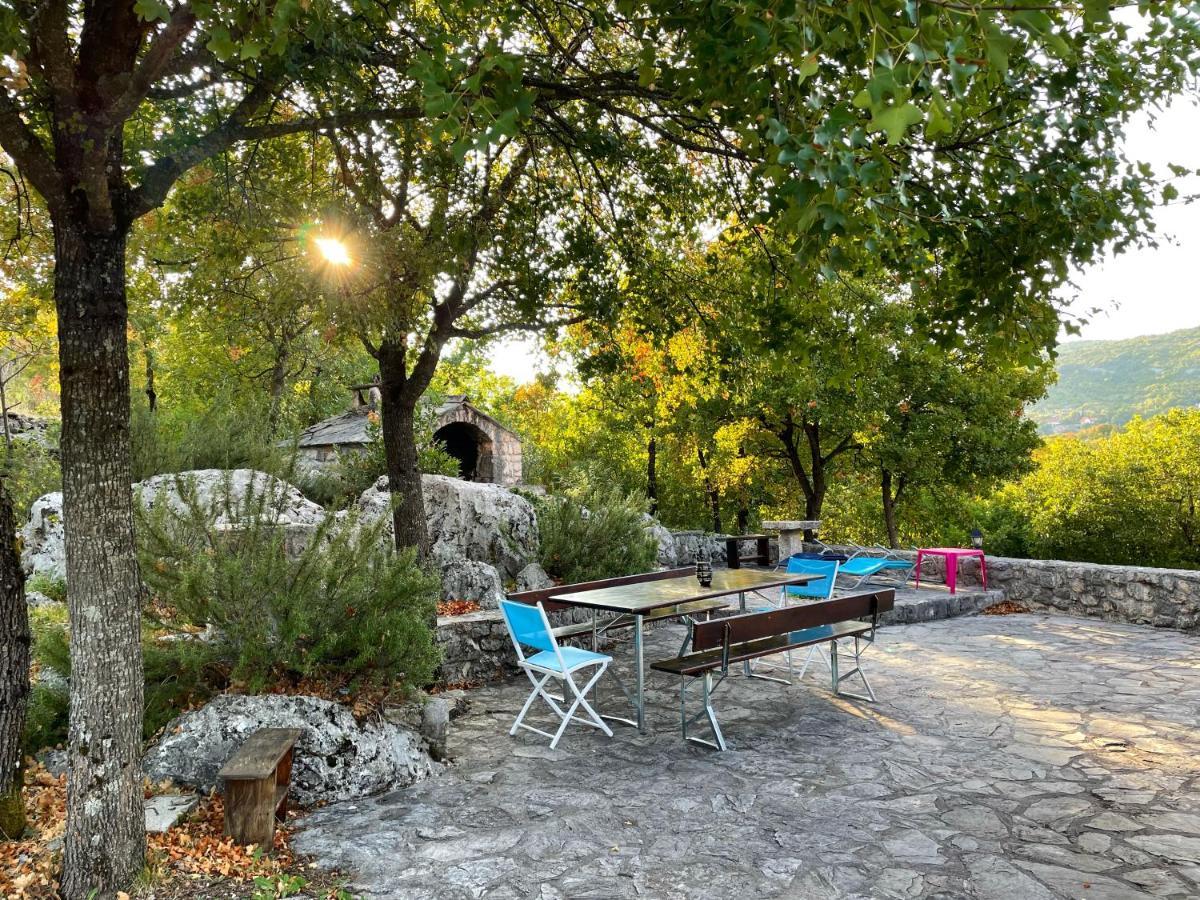 Holiday House Dunamis Krivodol Εξωτερικό φωτογραφία