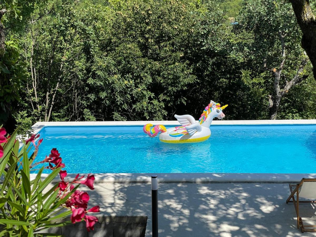 Holiday House Dunamis Krivodol Εξωτερικό φωτογραφία